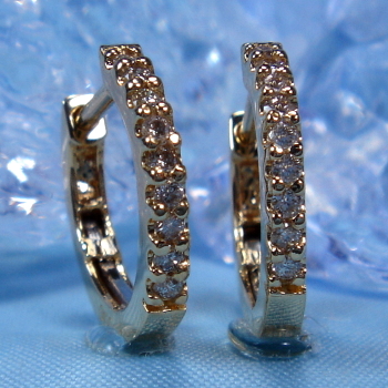 0.12ct Diamonds Earrings (EarYG-5)